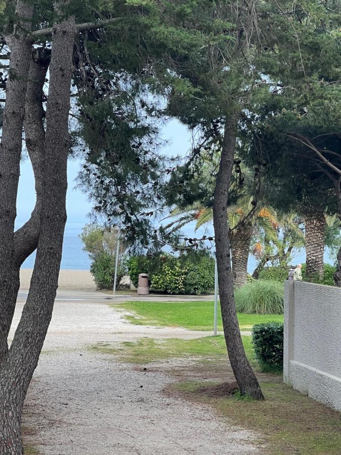 Grand F3 Vue Mer Centre Plage Proche Commerces Plage dʼArgelès Exterior foto